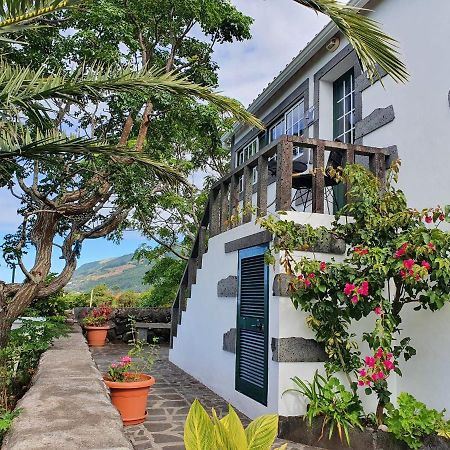 Santo Amaro  Casa Do Gato Pretoヴィラ エクステリア 写真