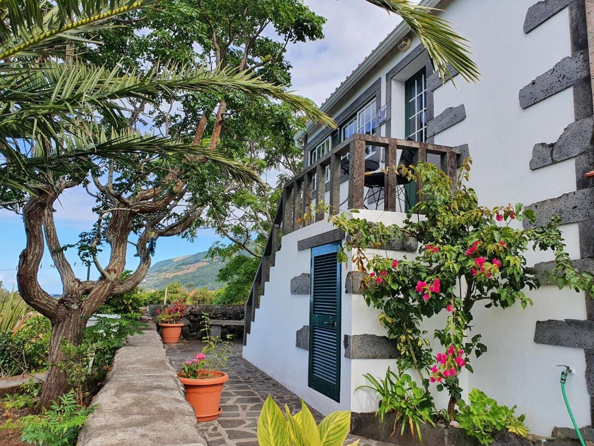 Santo Amaro  Casa Do Gato Pretoヴィラ エクステリア 写真