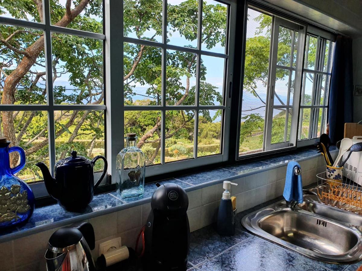 Santo Amaro  Casa Do Gato Pretoヴィラ エクステリア 写真